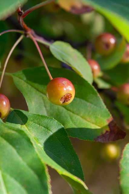 英国女歌手利帕现场观看阿根廷国家德比，并与里克尔梅合影